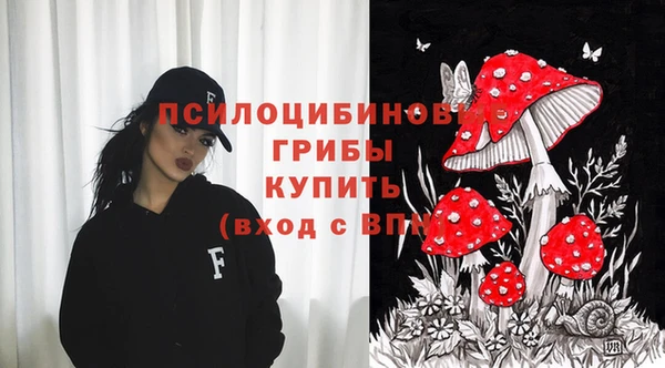 амф Абинск