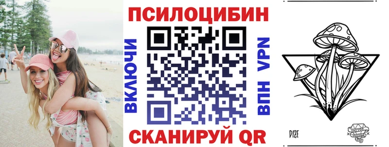 дарнет шоп  Протвино  маркетплейс как зайти  Псилоцибиновые грибы Magic Shrooms 